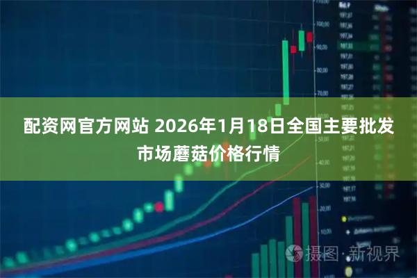 配资网官方网站 2026年1月18日全国主要批发市场蘑菇价格行情