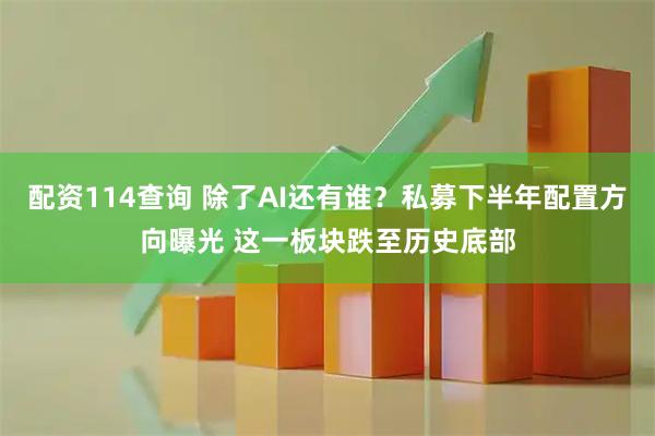 配资114查询 除了AI还有谁？私募下半年配置方向曝光 这一板块跌至历史底部